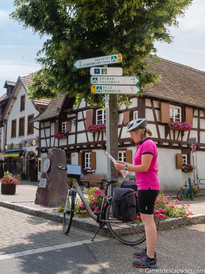 הוילה וינצנהיים Coeur D'Alsace Colmar Vignobles Ouest Avec Terrasses מראה חיצוני תמונה