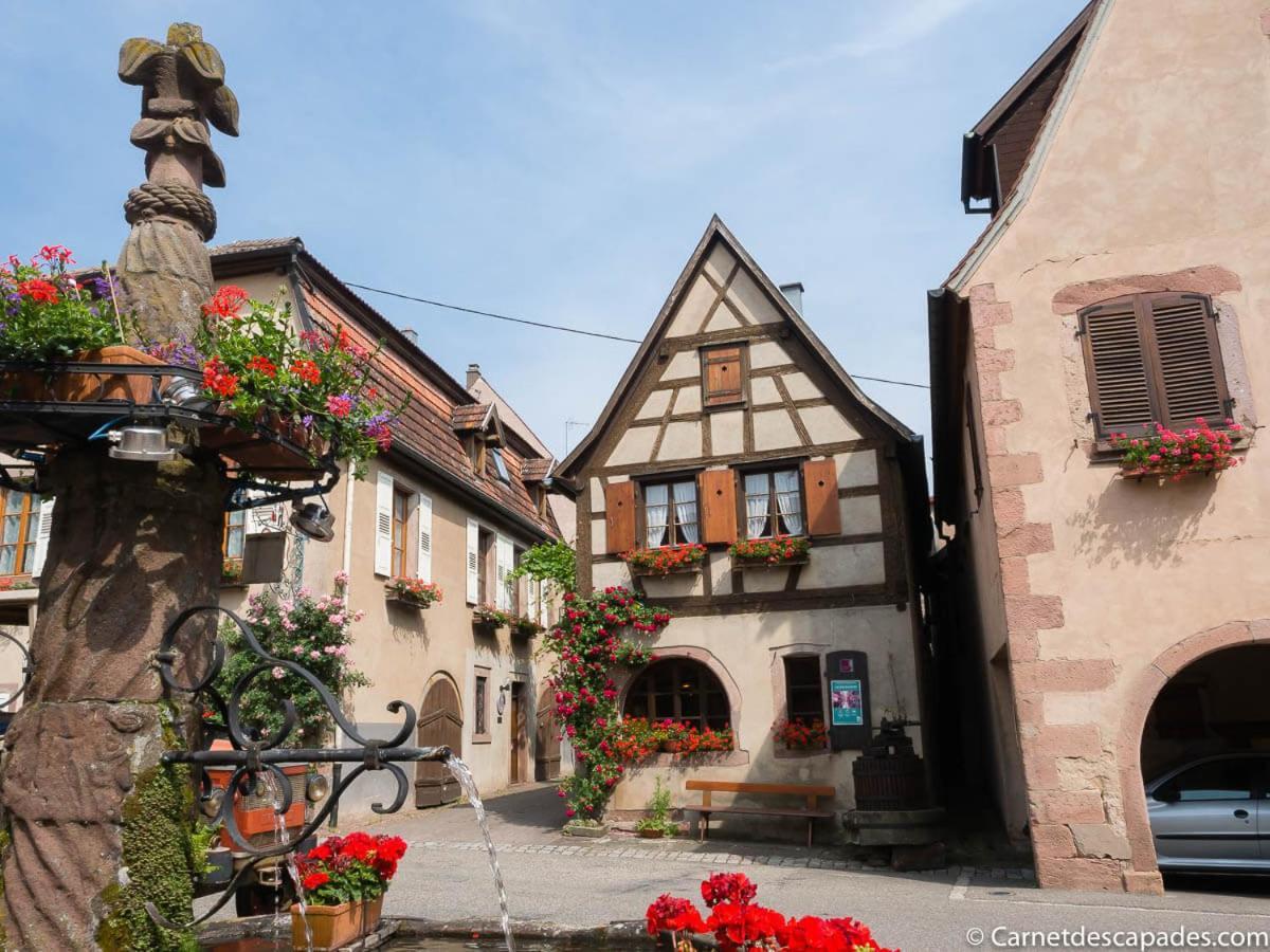 הוילה וינצנהיים Coeur D'Alsace Colmar Vignobles Ouest Avec Terrasses מראה חיצוני תמונה
