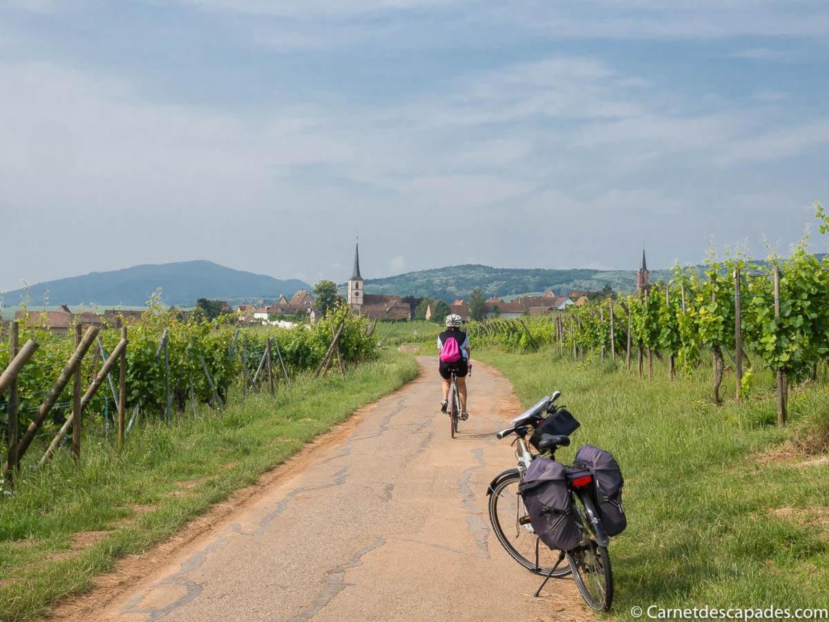 הוילה וינצנהיים Coeur D'Alsace Colmar Vignobles Ouest Avec Terrasses מראה חיצוני תמונה