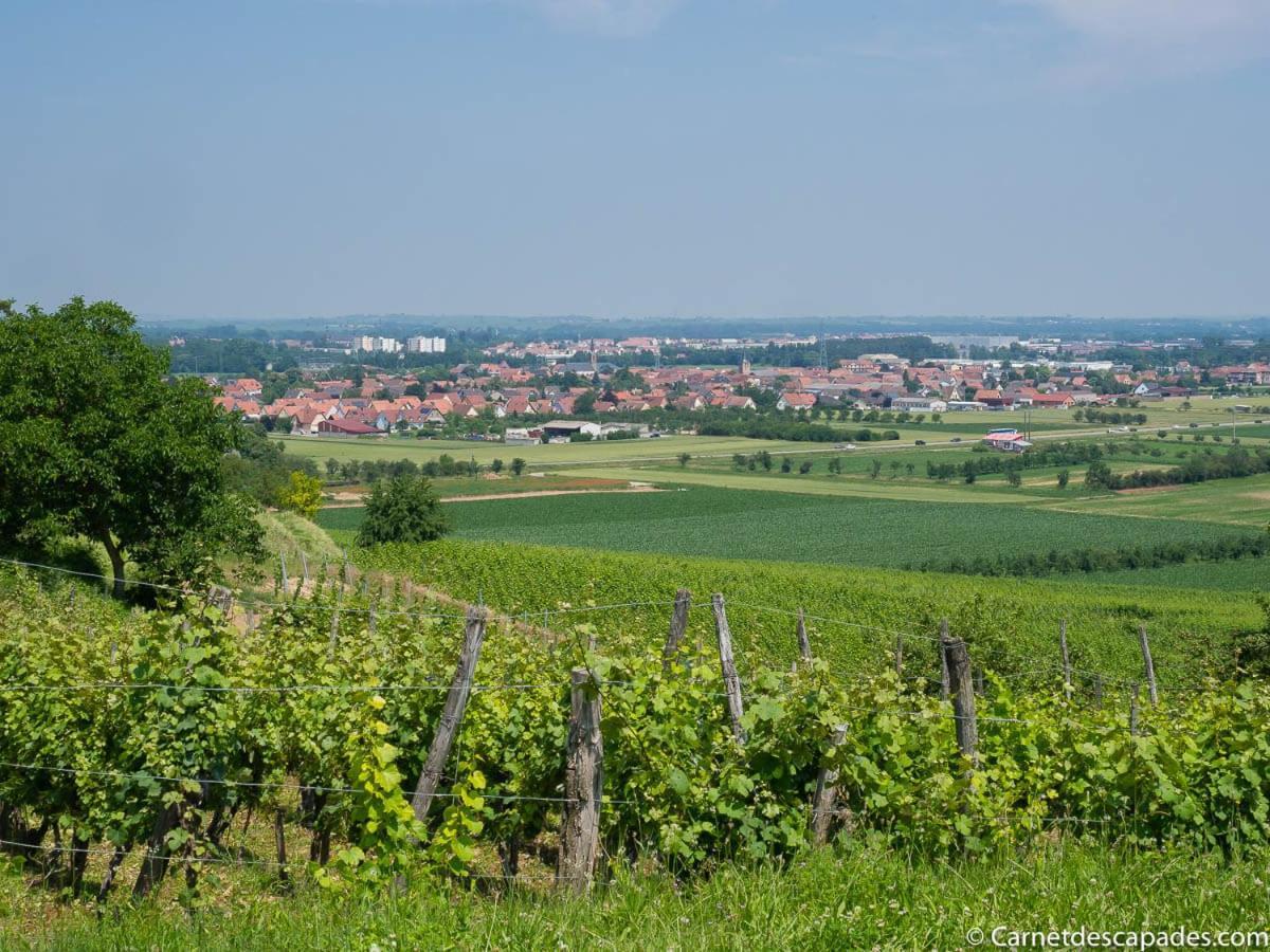 הוילה וינצנהיים Coeur D'Alsace Colmar Vignobles Ouest Avec Terrasses מראה חיצוני תמונה
