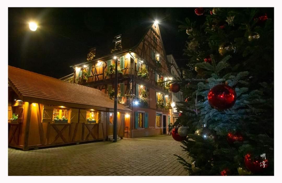 הוילה וינצנהיים Coeur D'Alsace Colmar Vignobles Ouest Avec Terrasses מראה חיצוני תמונה