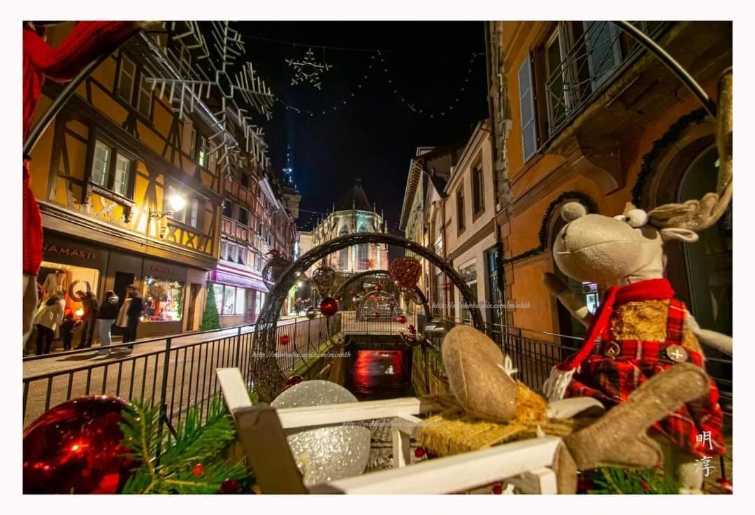 הוילה וינצנהיים Coeur D'Alsace Colmar Vignobles Ouest Avec Terrasses מראה חיצוני תמונה