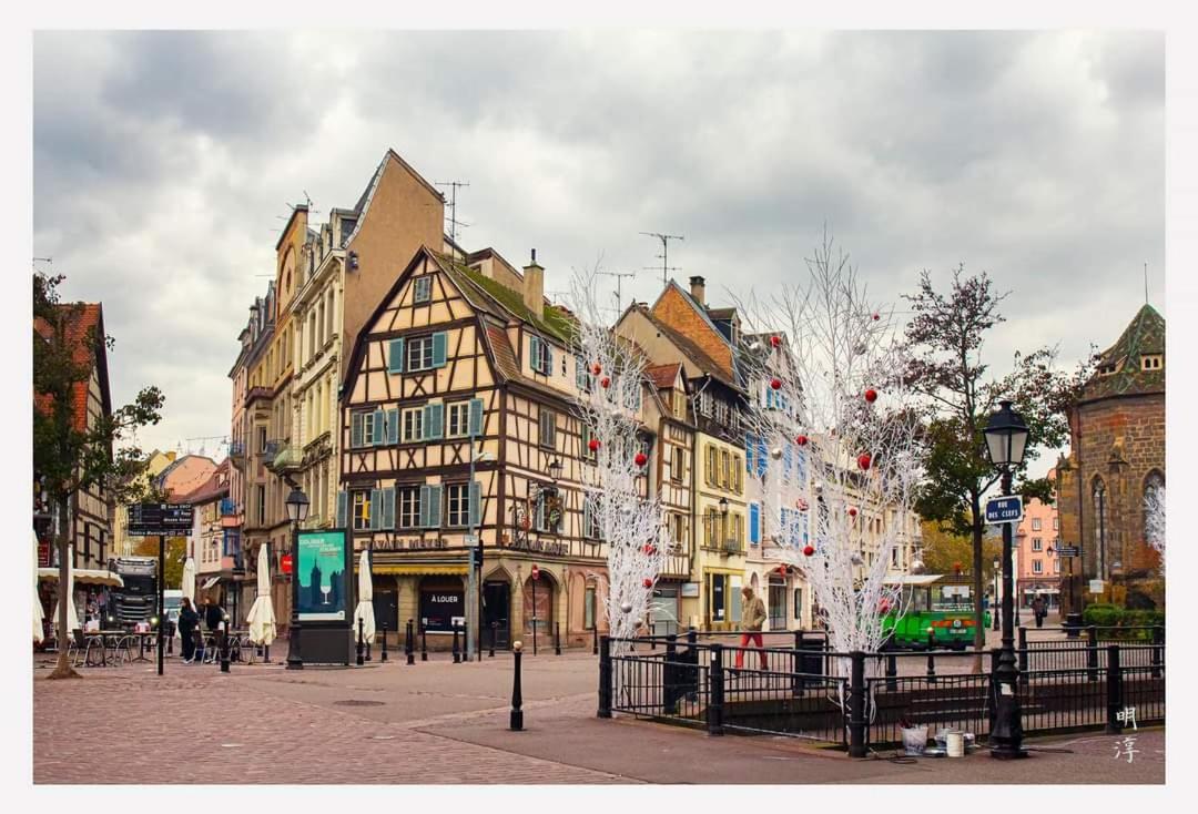 הוילה וינצנהיים Coeur D'Alsace Colmar Vignobles Ouest Avec Terrasses מראה חיצוני תמונה