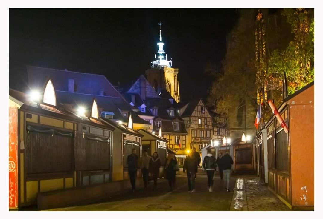 הוילה וינצנהיים Coeur D'Alsace Colmar Vignobles Ouest Avec Terrasses מראה חיצוני תמונה